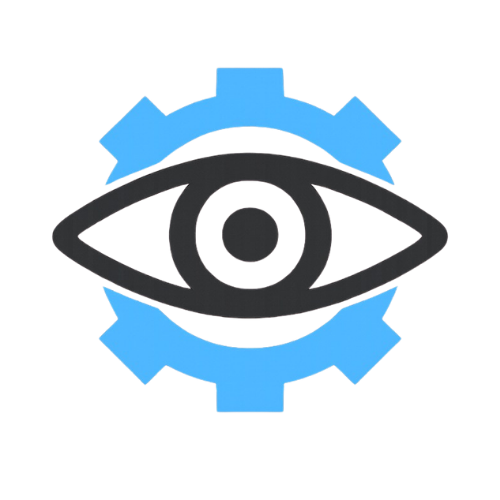 Vision